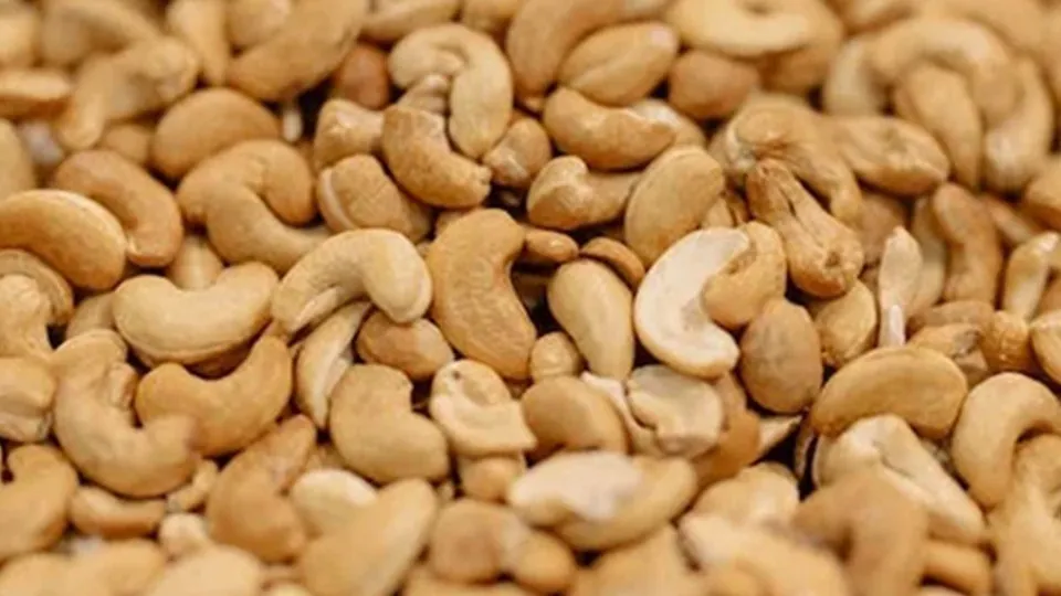 cashew-nuts