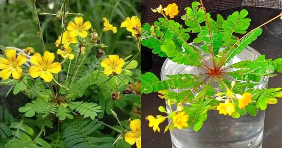 6792043d-aca3-4bad-9ebd-ac22ae99d4ac