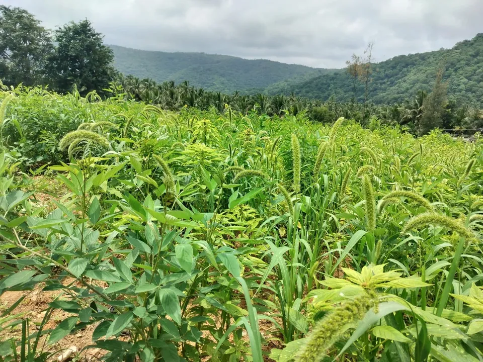 7be255e1-7b80-49b9-be91-0a6faa659f1d