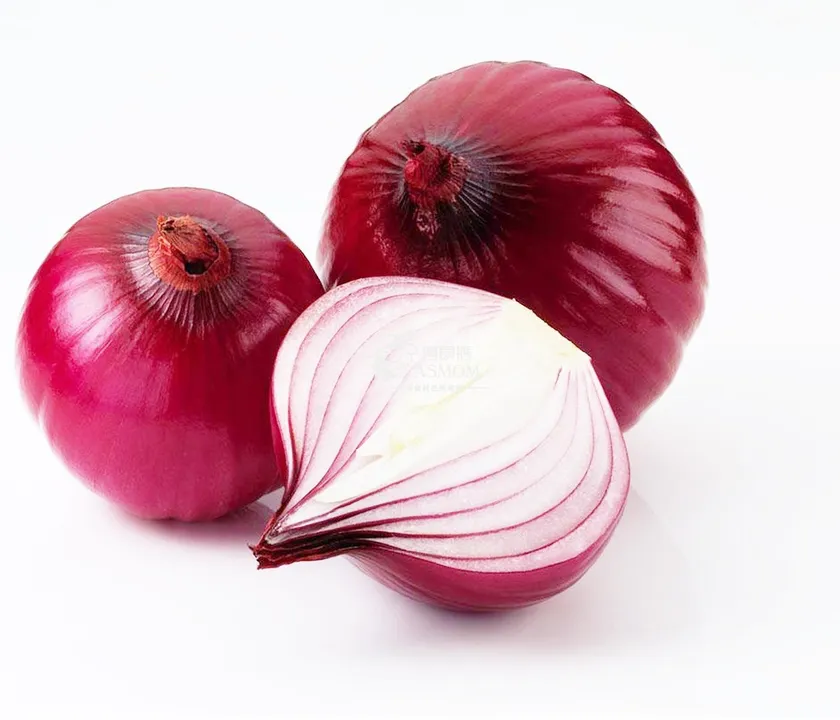 onion-1509336
