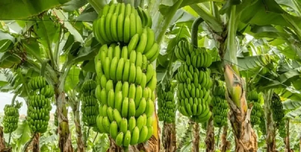 b7779cee-7865-4aeb-ad3b-04cc63b30420 (1)