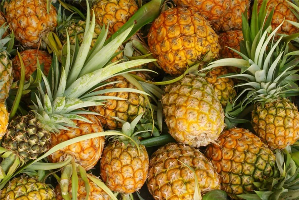 The-History-Of-Pineapple