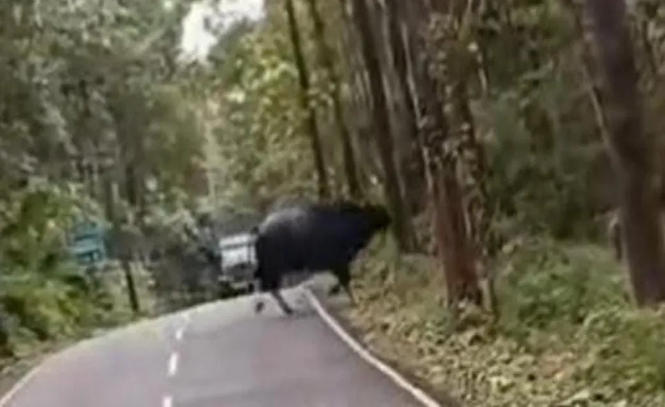 0f470346-2401-4a62-8dc7-d77d189cf34b