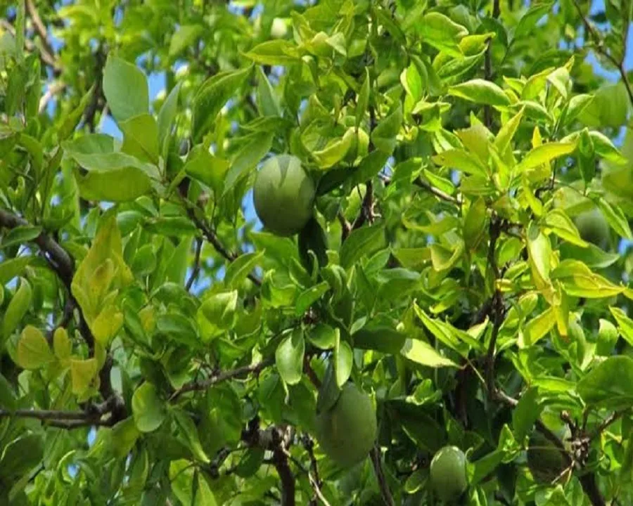 65c4eb51-9b62-4f8c-865e-5dc7ae13fc2b