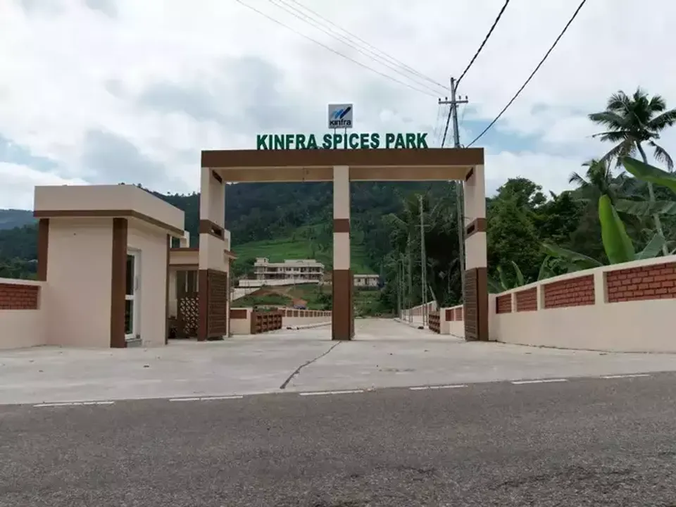 adfsfs
