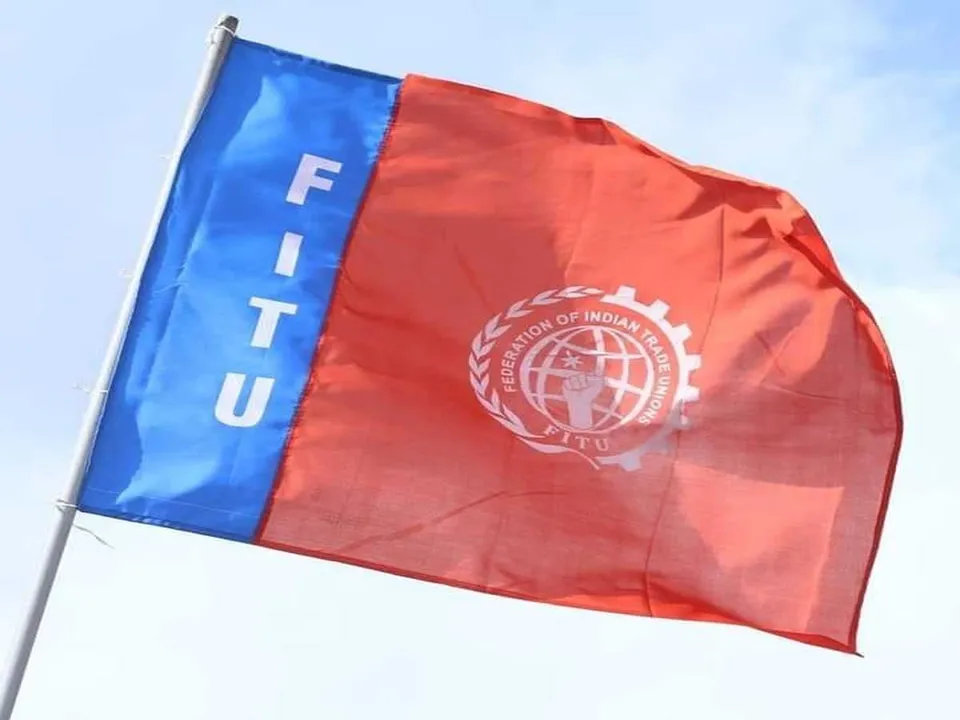 fitu1.jpg
