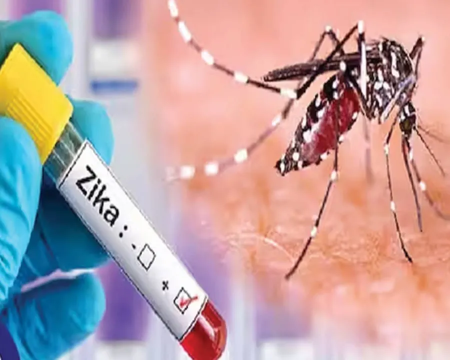 zika-virus zika-virus