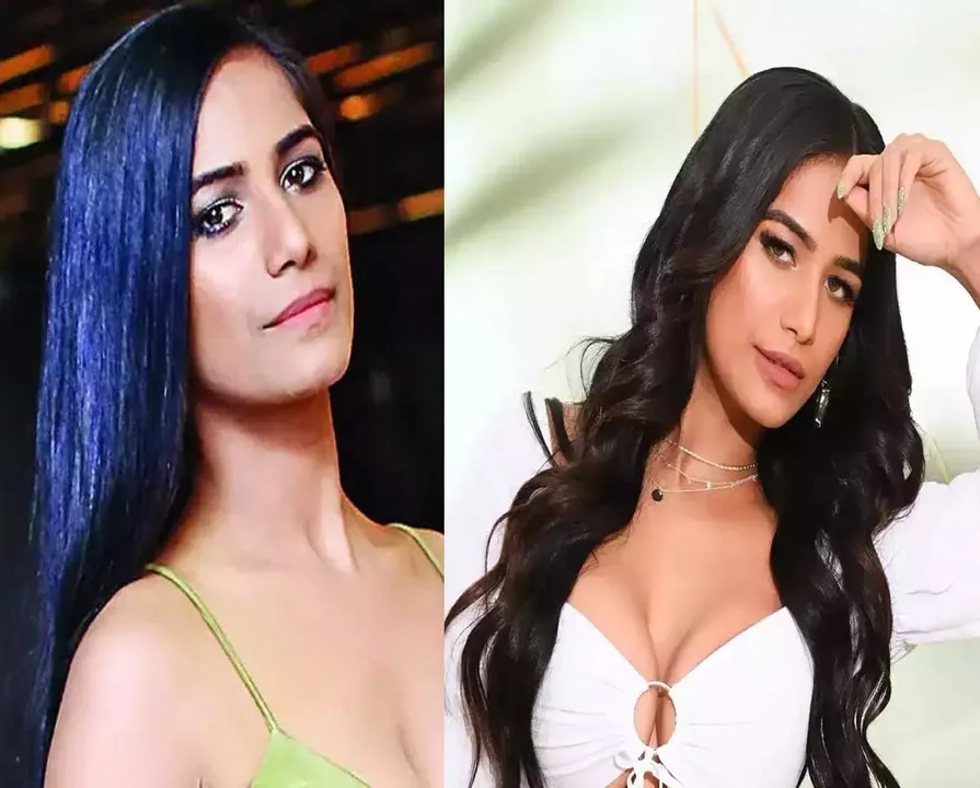 poonam pande.jpg