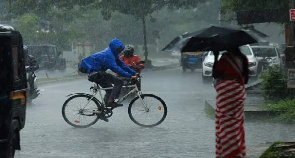 rain