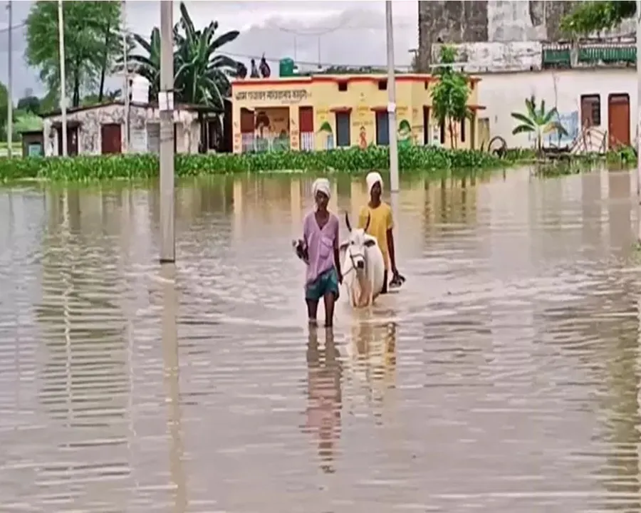 flood up