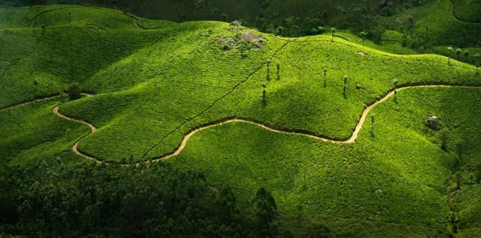 kerala tourism1.jpg