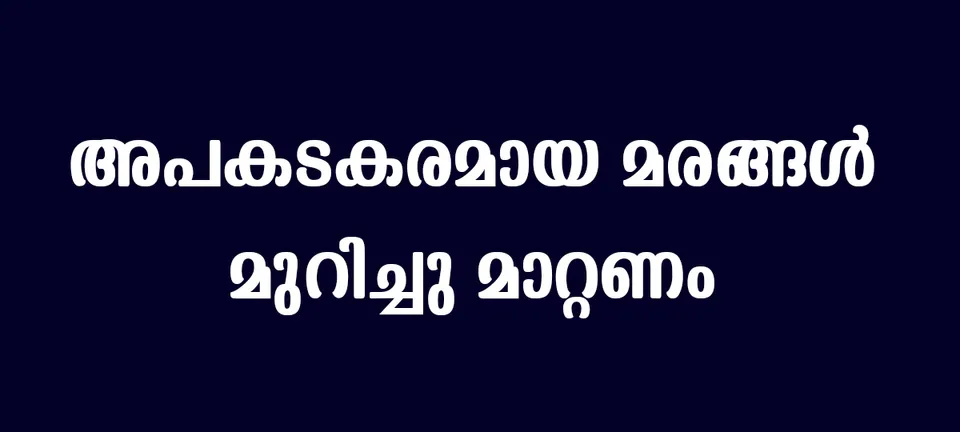 trees in danderous condision