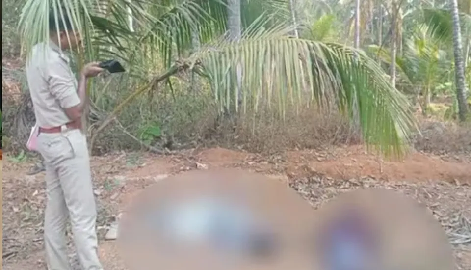 vakarka a1Untitled.jpg