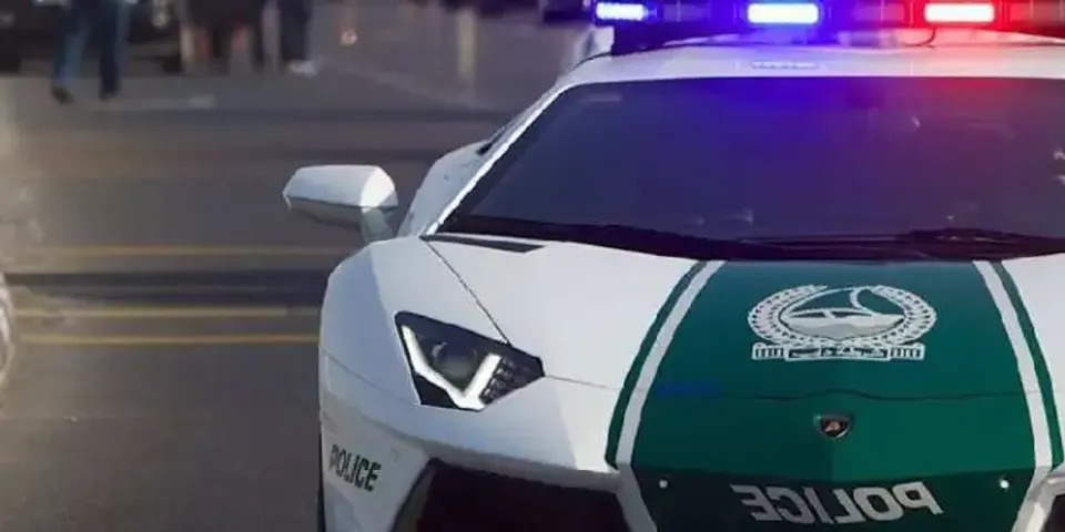 dubai police5.webp