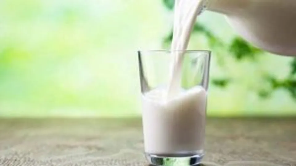 എല്ലിന്‍റെയും പല്ലിന്‍റെയും ആരോഗ്യത്തിനായി പാൽ കുടിക്കാം