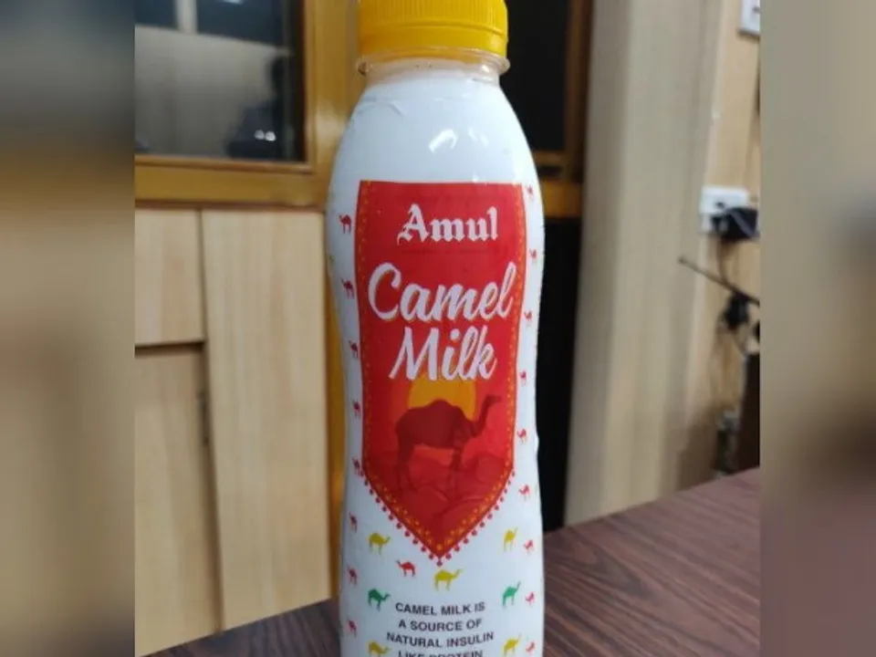 ഇനി ഒട്ടകപ്പാൽ ഇവിടെയും സുലഭം. അമുൽ ഒട്ടകപ്പാൽ വിപണിയിലേക്ക്