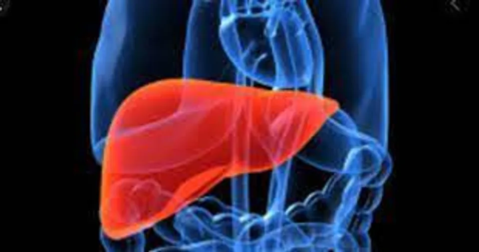 കരള്‍ രോഗ ലക്ഷണങ്ങൾ എന്തൊക്കെയാണെന്ന് നോക്കാം..