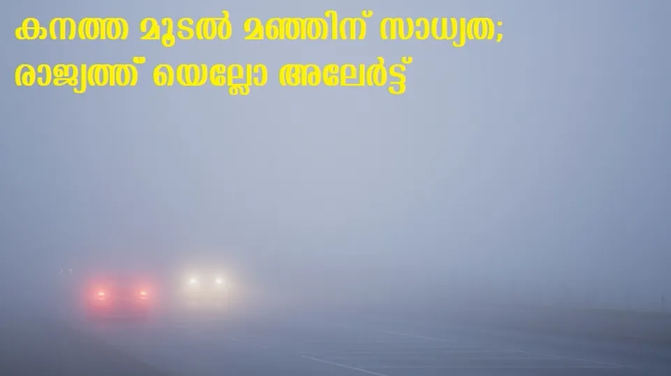 കനത്ത മൂടല്‍ മഞ്ഞിന് സാധ്യത; രാജ്യത്ത് യെല്ലോ അലേര്‍ട്ട്