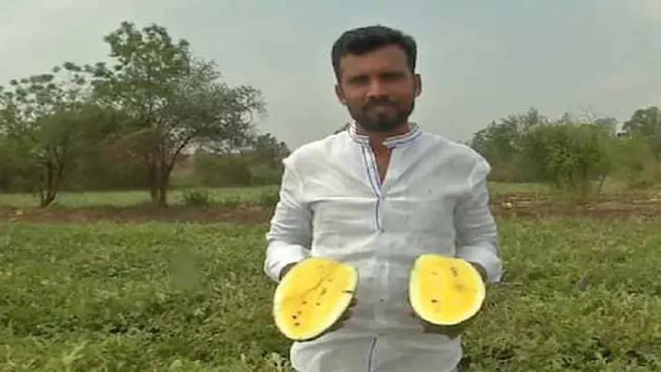 മഞ്ഞ നിറമുള്ള തണ്ണിമത്തനുമായി ബിരുദ്ധാരിയായ കര്‍ഷക൯