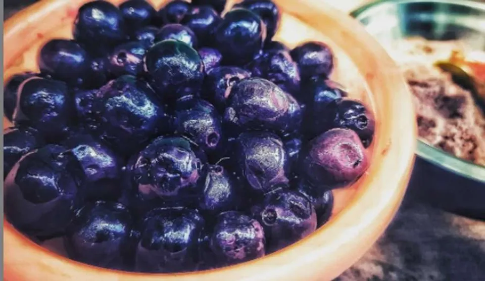 ലോക്ഡൗണ്‍ സമയത്ത് രാജ്യത്ത് ഫോണിലും ലാപ്‌ടോപ്പിലും മുന്നില്‍ സമയം ചിലവഴിച്ച് കാഴ്ച്ചശക്തി തകരാറിലായത് ലക്ഷക്കണക്കിന് പേര്‍ക്ക്;  നേത്രാരോഗ്യം സംരക്ഷിക്കുന്നതിന് ഞാവല്‍ പഴം കഴിക്കൂ