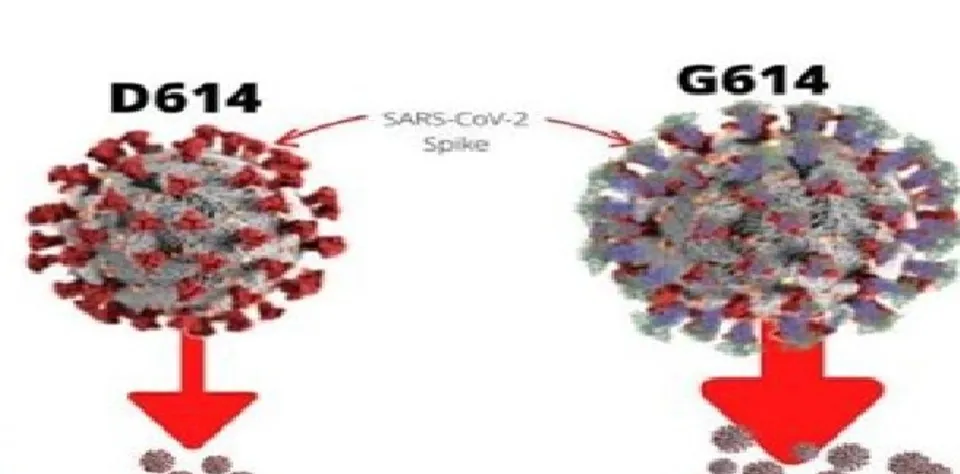 ആയിരത്തിൽ ഞാൻ ഒരുവൻ ! മരണനിരക്ക് പഴയ വൈറസ് പോലെ തന്നെയാണ്,  ആകെ നെഗറ്റീവ് വശങ്ങൾ ഇതിന്റെ വ്യാപനശേഷി അല്പം കൂടുതലാണ്. അതായത് ഒറിജിനൽ വൈറസ് രോഗം പകർത്തുന്നതിനേക്കാൾ വളരെ വേഗത്തിൽ കൂടുതൽ ആൾക്കാർക്ക് ഈ വൈറസ് രോഗം പകർന്നു നൽകും; ഡോ സുൽഫി നൂഹു പങ്കുവച്ച കുറിപ്പ്