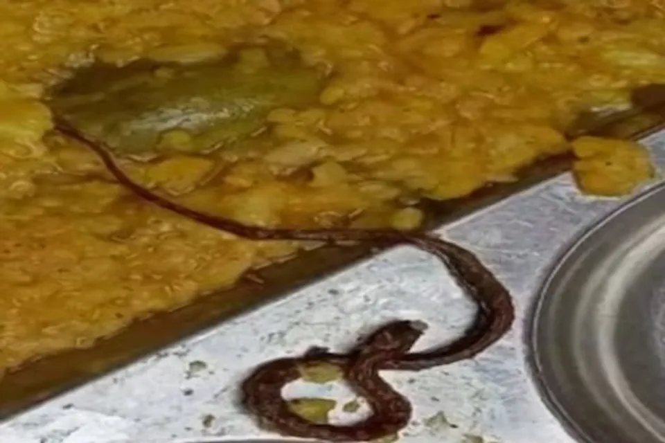 ബിഹാറിൽ കഞ്ഞി തയാറാക്കിയ ചെമ്പിനുള്ളിൽ ചത്ത പാമ്പ്; നൂറോളം കുട്ടികൾ ആശുപത്രിയിൽ