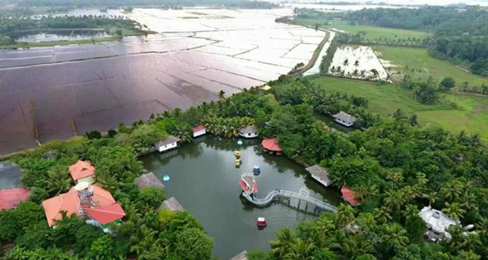 പ്രളയവും നിപ്പയും കോവിഡും വിതച്ച പ്രതിസന്ധിയിൽ ഉഴറി കടുത്തുരുത്തിയുടെ അഭിമാനമായി മാറിയ 'മാംഗോ മെഡോസ് '