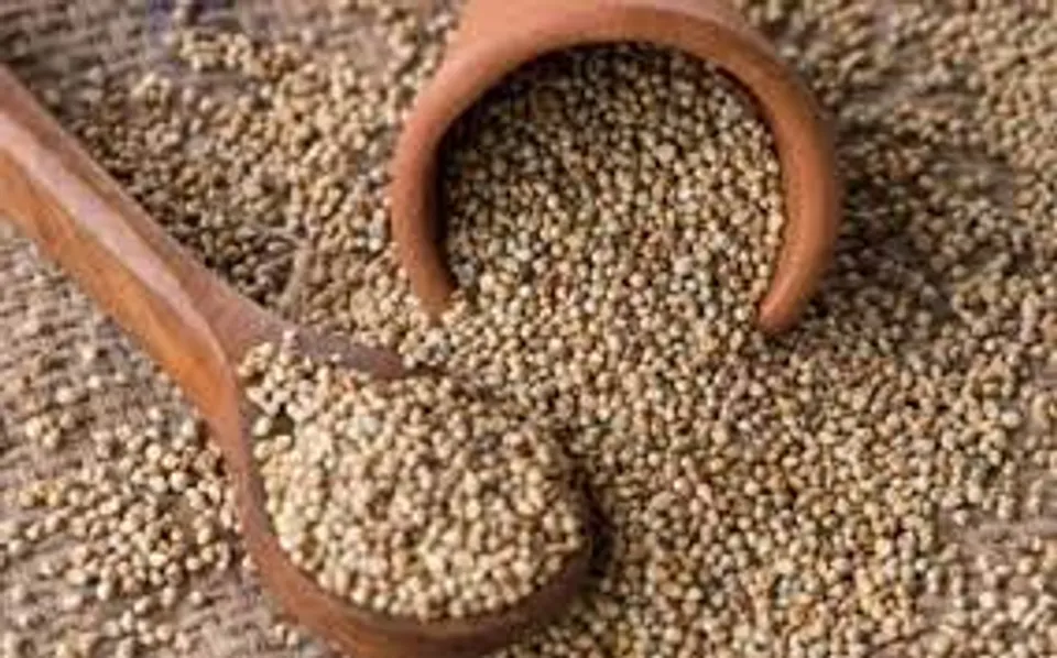 കൊടുംവേനലില്‍ ഊര്‍ജ്ജം നിലനിര്‍ത്താന്‍ സഹായിക്കുന്ന ഭക്ഷണങ്ങൾ അറിയാം