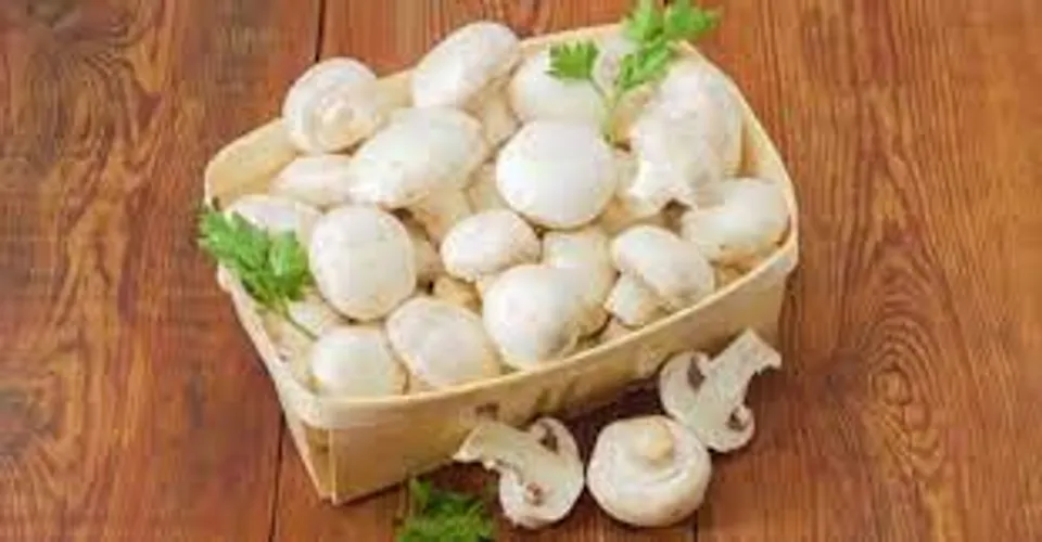 കൂണിന്റെ ആരോഗ്യ ഗുണങ്ങൾ എന്തൊക്കെയാണെന്ന് നോക്കാം..
