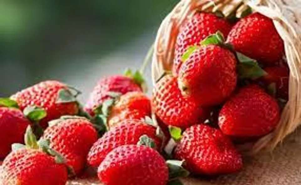 സ്ട്രോബെറിയുടെ ആരോ​ഗ്യ ​ഗുണങ്ങൾ എന്തൊക്കെയാണെന്ന് നോക്കാം..