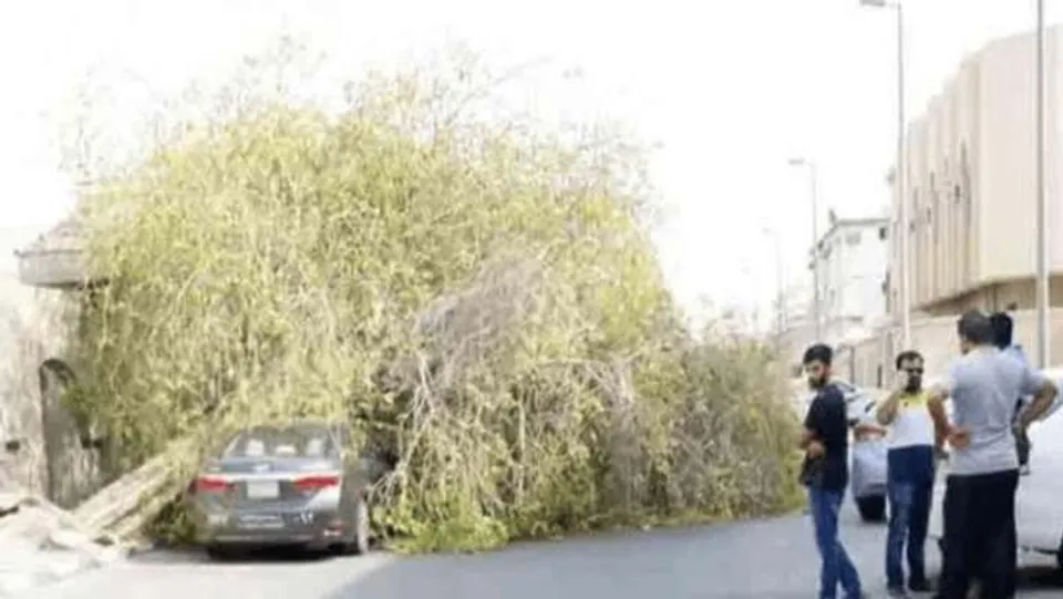 കാറിന് മുകളില്‍ മരം വീണു...... സൗദിയില്‍ മലയാളി രക്ഷപെട്ടത് ഇങ്ങനെ