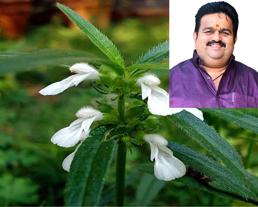 ചതിയും വഞ്ചനയും കൊലപാതകങ്ങളും അധികാരത്തിന് വേണ്ടി എന്തും ചെയ്യാം എന്ന ചിന്തകളും ഉള്ള ഈ  കാലഘട്ടത്തിലേക്ക് വീണ്ടും ഒരു ഓണം കൂടി...