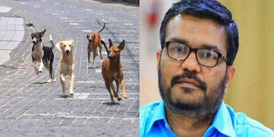 വാക്സീന്റെ ഫലപ്രാപ്തിയെക്കുറിച്ചുള്ള ആശങ്കകള്‍ പരിശോധിക്കണം, തെരുവുനായ വന്ധ്യംകരണം മാത്രമാണ് ഏകമാര്‍ഗം: മന്ത്രി എം ബി രാജേഷ്