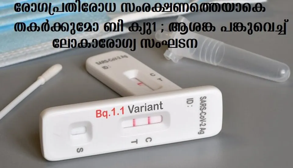 രോഗപ്രതിരോധ സംരക്ഷണത്തെയാകെ തകര്‍ക്കുമോ ബി ക്യു1 ; ആശങ്ക പങ്കുവെച്ച് ലോകാരോഗ്യ സംഘടന