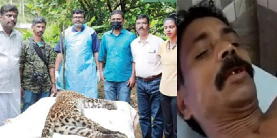 പുലിയെ കൊന്ന ഗോപാലന് കർഷകവീരശ്രീ അവാർഡ്; വനംവകുപ്പിന്റെ ധനസഹായവും; ഗോപാലൻ ഇനി മാങ്കുളത്തെ പുലിമുരുകൻ