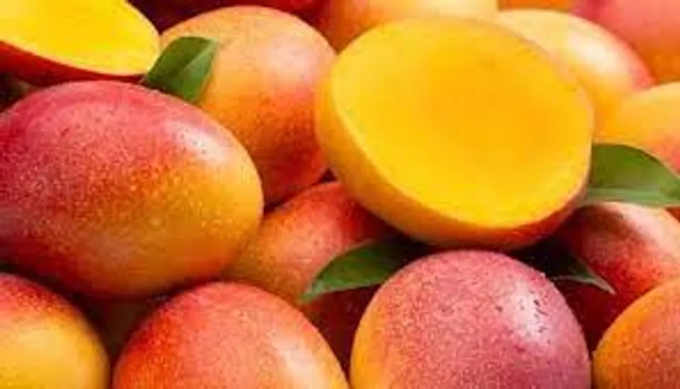 മാമ്പഴം കഴിക്കുന്നത് കൊണ്ടുള്ള ആരോഗ്യ ഗുണങ്ങൾ എന്തൊക്കെയാണെന്ന് നോക്കാം...