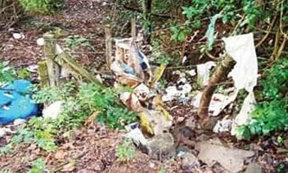 കൊപ്പം-ഓങ്ങല്ലൂർ പഞ്ചായത്തുകളെ ബന്ധിപ്പിക്കുന്ന ആമയൂർ-പൂവക്കോട് റോഡിൽ വ്യാപകമായി മാലിന്യം തള്ളുന്നതായി പരാതി