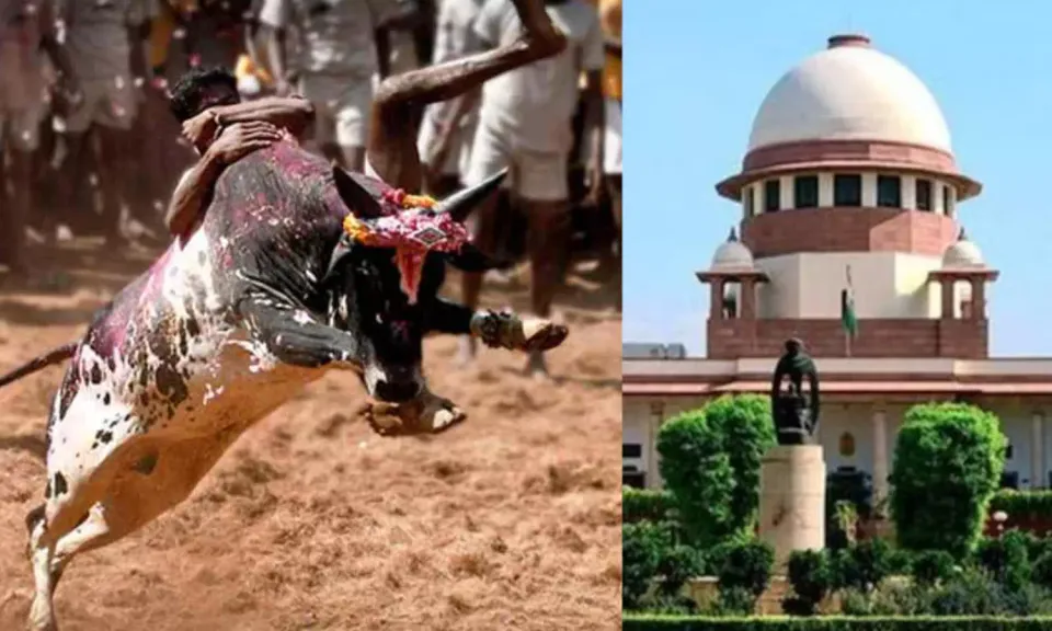 ജെല്ലിക്കെട്ട് തമിഴ് സംസ്‌കാരത്തിന്റെ അവിഭാജ്യ ഘടകം; ജെല്ലിക്കെട്ടിനും കാളയോട്ട മത്സരത്തിനും തടസ്സമില്ല, സംസ്ഥാന നിയമങ്ങളില്‍ ഇടപെടില്ലെന്ന് വ്യക്തമാക്കി സുപ്രീംകോടതി