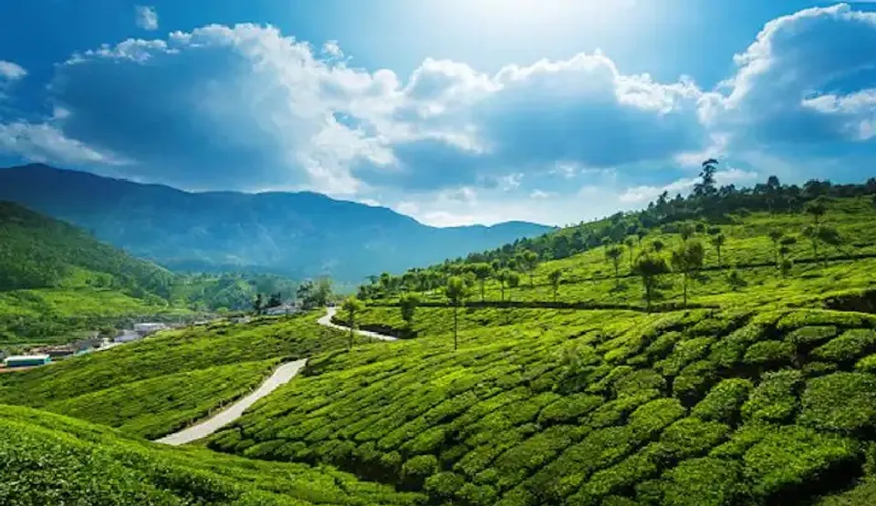 തണുപ്പിന്റ ലഹരിയും കാഴ്ചയുടെ കൗതുകവും നിറഞ്ഞ യാത്ര; നയനങ്ങളെ അവിസ്മരണീയമാക്കുന്ന കാഴ്ചകൾക്ക് മൂന്നാറിലേക്ക് ഒരു യാത്ര