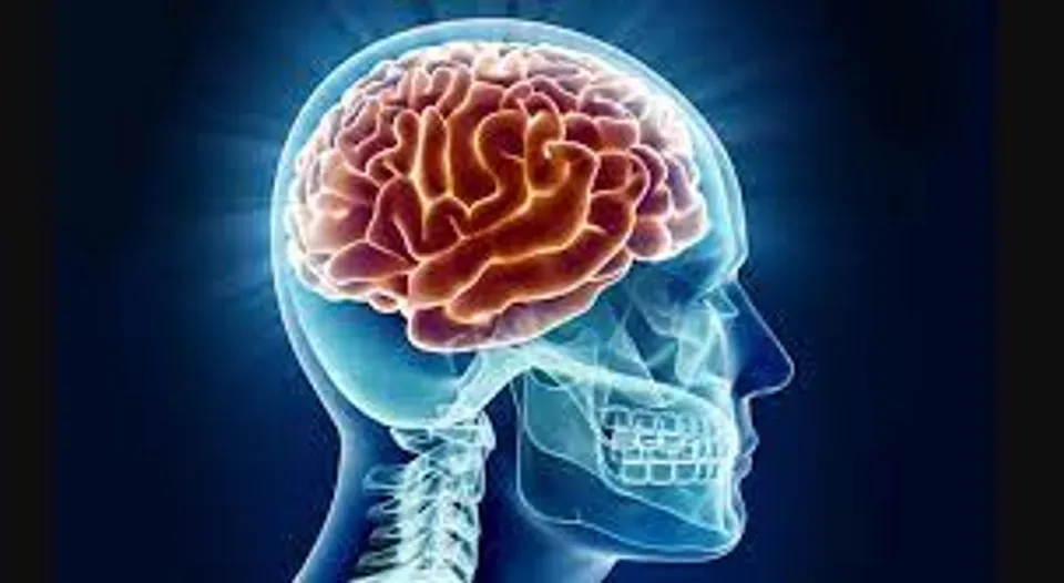 മരണശേഷവും മസ്തിഷ്കം ജീവിക്കുമോ എന്നത് സംബന്ധിച്ച പഠനത്തെക്കുറിച്ചറിയാം