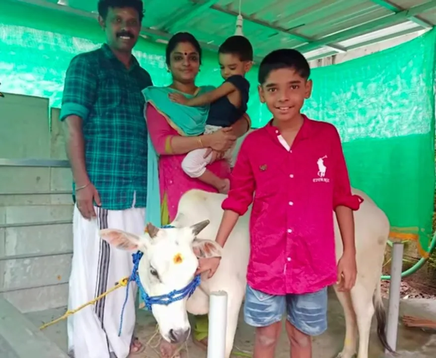 പുങ്കന്നൂരിൽ നിന്നും താണിക്കുടത്തെത്തിയ ഐശ്വര്യകാമധേനു ; ഇവൾ ഏഷ്യയിലെ ഏറ്റവും പൊക്കം കുറഞ്ഞ ഇനം
