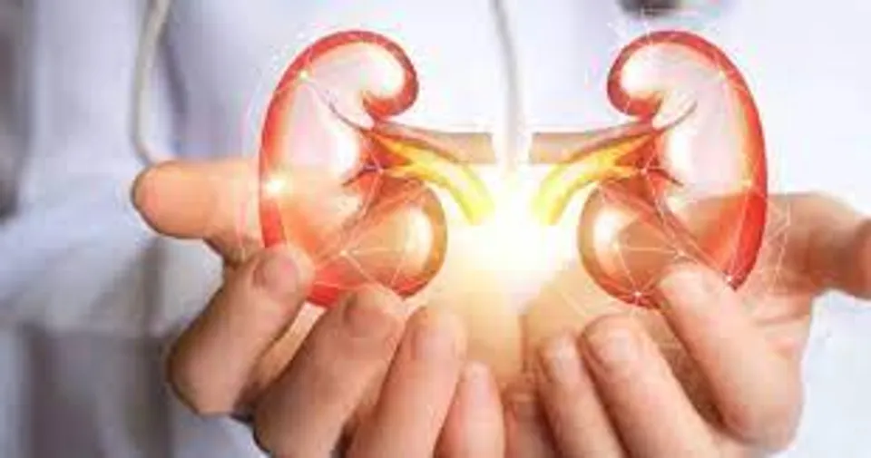 വൃക്കകളെ ആരോഗ്യത്തെ സംരക്ഷിക്കാന്‍ ചെയ്യേണ്ട കാര്യങ്ങൾ നോക്കാം..