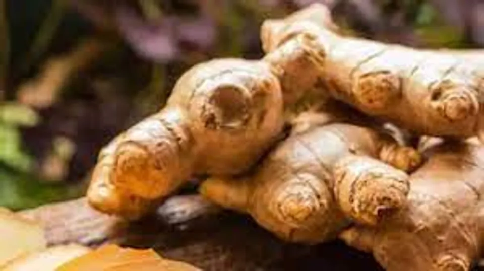 ഇഞ്ചി ചായയുടെ ആരോഗ്യ ഗുണങ്ങള്‍ എന്തൊക്കെയാണെന്ന് നോക്കാം..