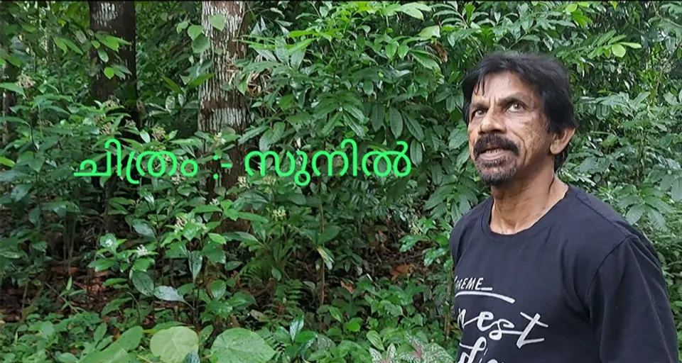 പാലാ ഏഴാച്ചേരി താഴത്തുരുത്തിയിൽ സതീഷിൻ്റെ വീട്ടു മുറ്റത്തോടു ചേർന്ന് രണ്ടേക്കറോളം 'വന' മാണ്; നാട്ടിലെ ഒരു സൂപ്പർ കാട് !