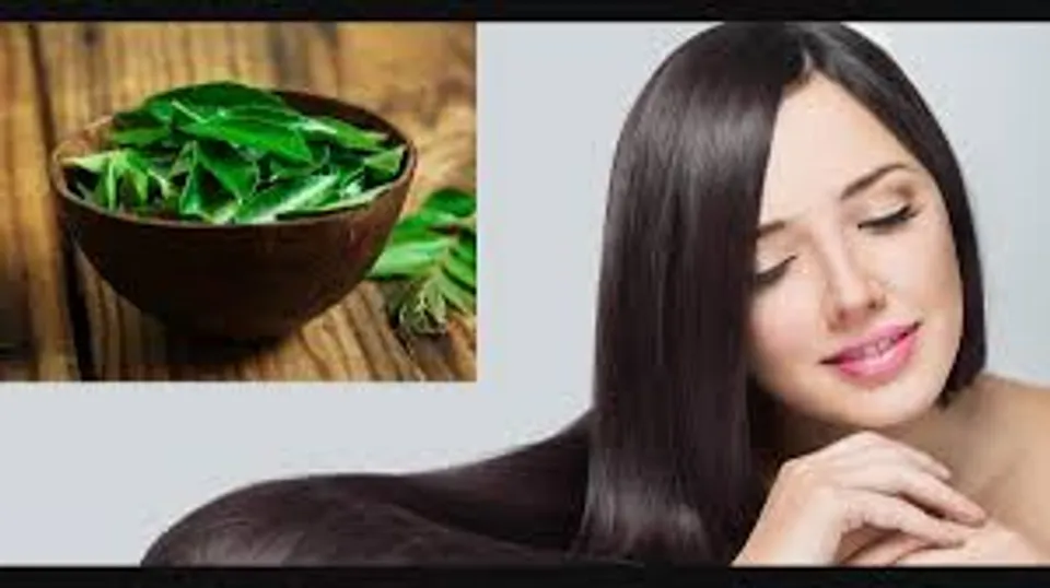 മുടികൊഴിച്ചിലാണോ നിങ്ങളുടെ പ്രശ്നം? എന്നാൽ കറിവേപ്പില ഇങ്ങനെ ഒന്ന് ഉപയോഗിച്ച് നോക്കൂ..