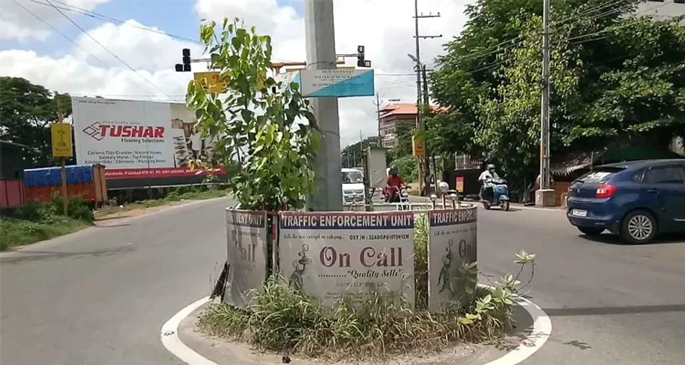 ഡ്രൈവർമാരുടെ കാഴ്ച്ച മറയ്ക്കുന്ന ആൽമരം പറിച്ചു മാറ്റണം