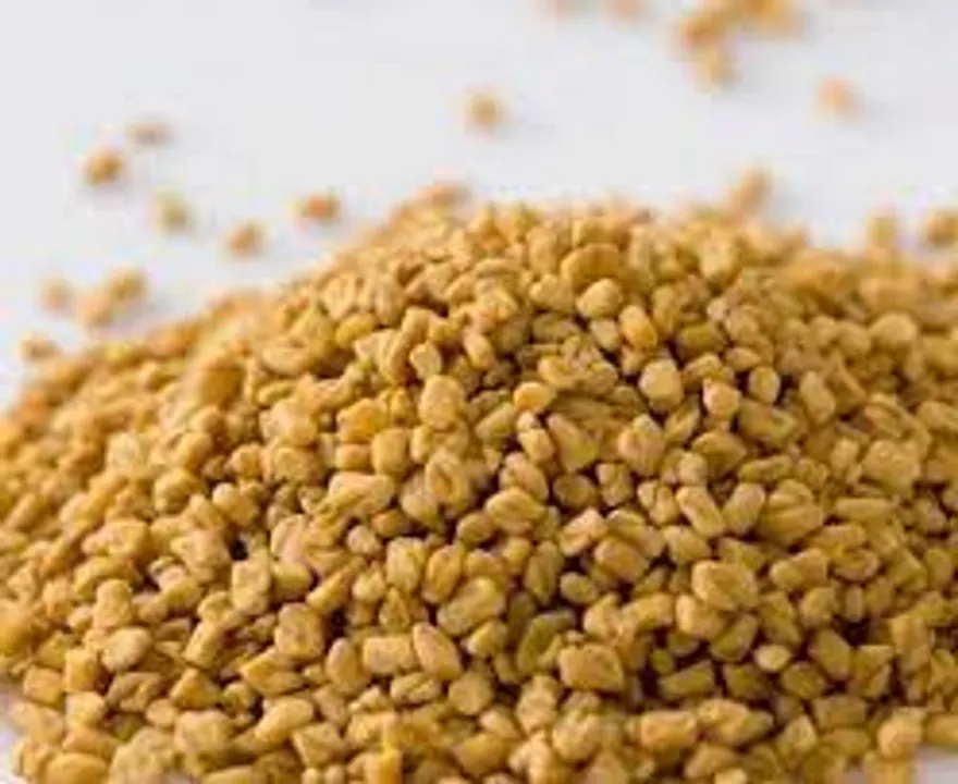 പ്രമേഹം കുറയ്ക്കാന്‍ സഹായിക്കുന്ന ഉയര്‍ന്ന ഫൈബര്‍ തോതുള്ള വിഭവങ്ങളെ പരിചയപ്പെടാം