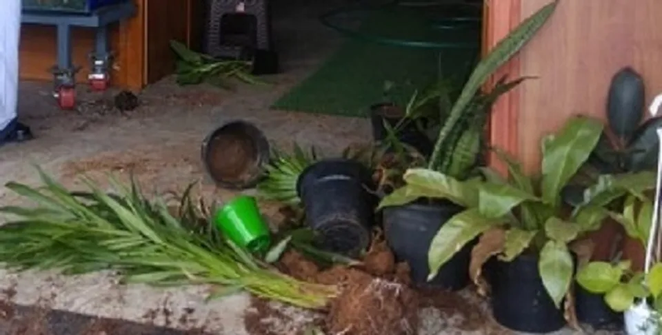 അക്വേറിയം പെറ്റ് ഷോപ്പ് അടിച്ചുതകര്‍ത്ത് യുവാക്കളുടെ അതിക്രമം; പരിക്കേറ്റ ഷോപ്പ് ജീവനക്കാരന്‍ ആശുപത്രിയില്‍; സംഭവം പാലാ ചേര്‍പ്പുങ്കലില്‍