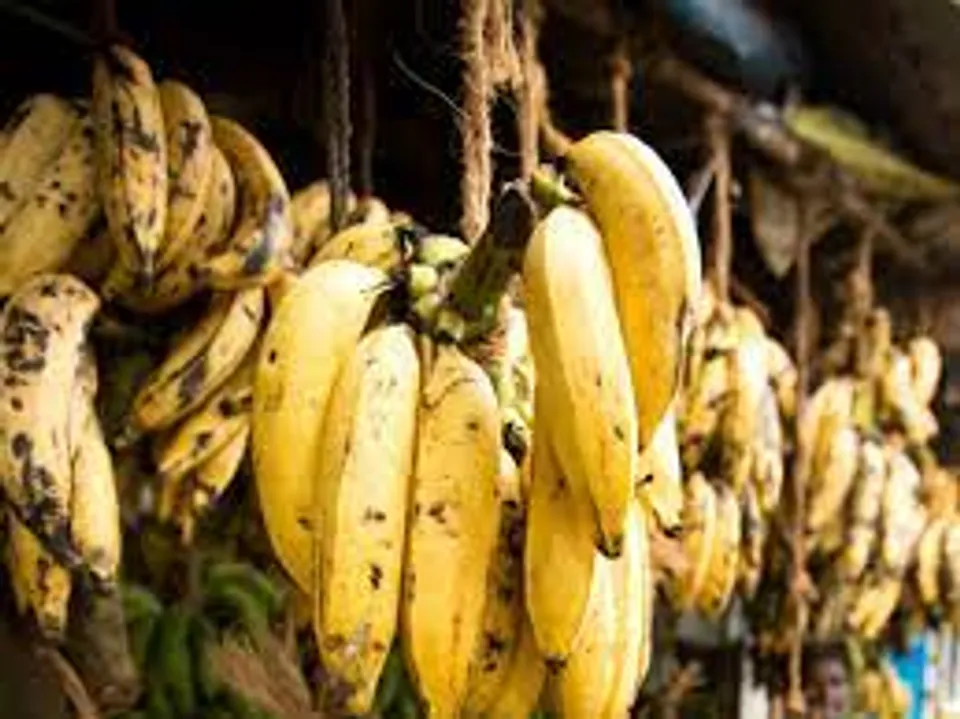 നേന്ത്രപ്പഴം കഴിക്കാൻ കഴിയാത്ത അവസ്ഥയിലെത്തിയാല്‍ ചില സൂചനകളിലൂടെ ഇത് മനസിലാക്കാം അവ എങ്ങനെയാണെന്ന് നോക്കാം..