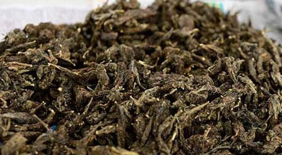 കൊല്ലത്ത് രണ്ട് കിലോയിലധികം കഞ്ചാവുമായി വയോധികയും യുവാവും അറസ്റ്റിൽ